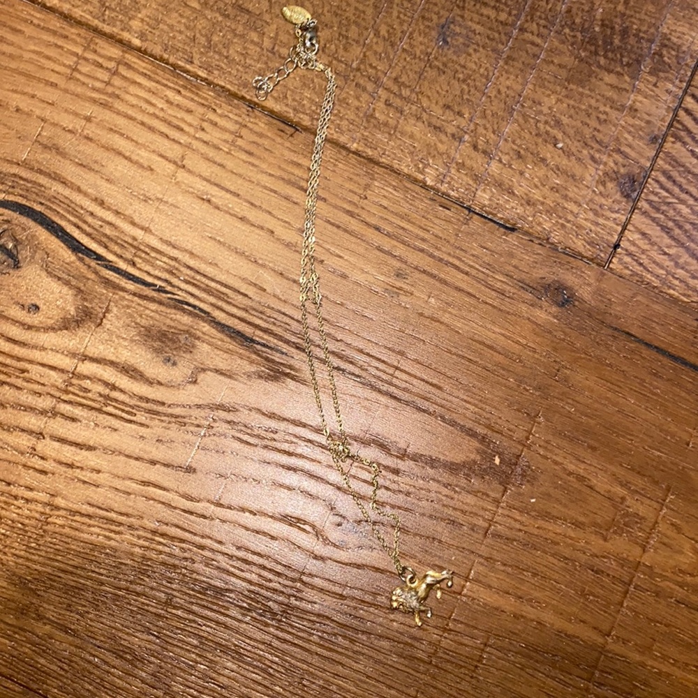 Adjustable lion necklace